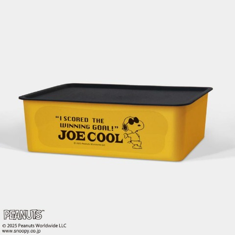 スヌーピー 　コレクトBOX（M）