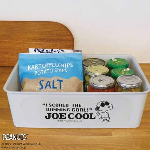 スヌーピー 　コレクトBOX（M）