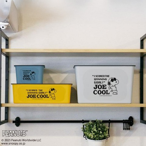 スヌーピー 　コレクトBOX（M）