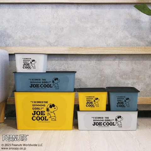 スヌーピー 　コレクトBOX（M）