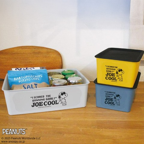 スヌーピー 　コレクトBOX（M）