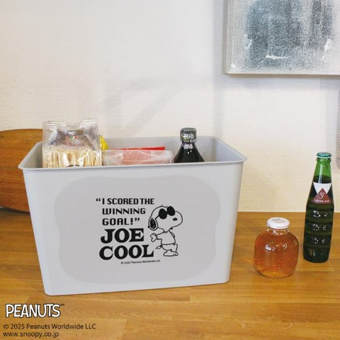スヌーピー 　コレクトBOX（L）
