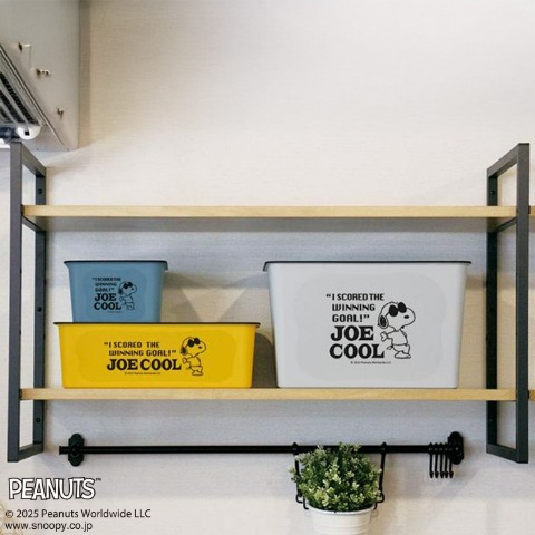 スヌーピー 　コレクトBOX（L）