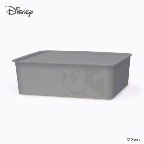 ミッキーマウス　スクエアBOX(ハーフ)
