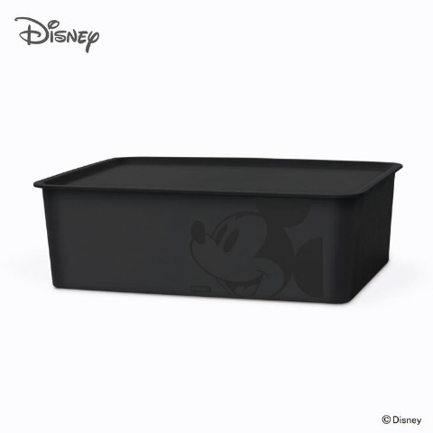 ミッキーマウス　スクエアBOX(ハーフ)