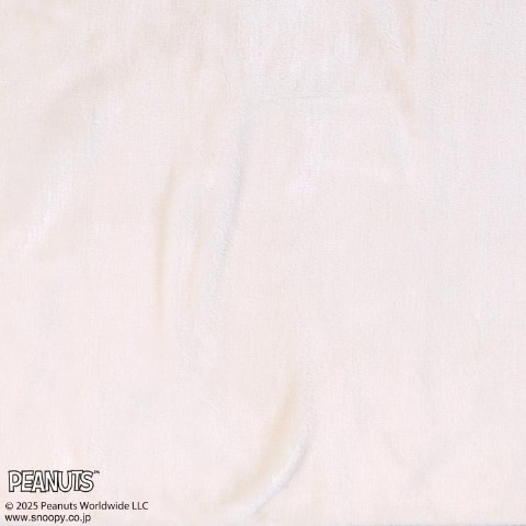ハーフ毛布　100㎝×140㎝　（スヌーピー）