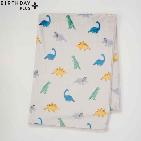 ハーフ毛布（100㎝×140㎝）FIBER HEAT