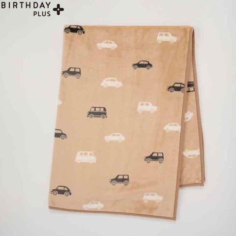 ハーフ毛布（100㎝×140㎝）FIBER HEAT