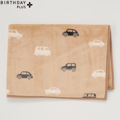 ひざ掛け毛布（70㎝×100㎝）FIBER HEAT