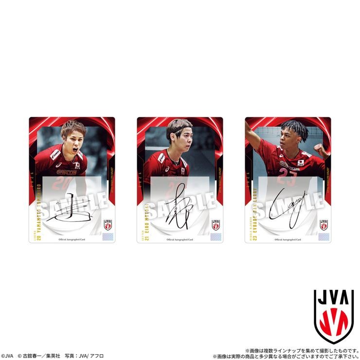 20個入りBOX JAPAN NATIONAL VOLLEYBALL TEAM 男子日本代表ver