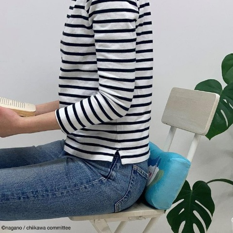 ミニリラックスピロー(ハチワレ)