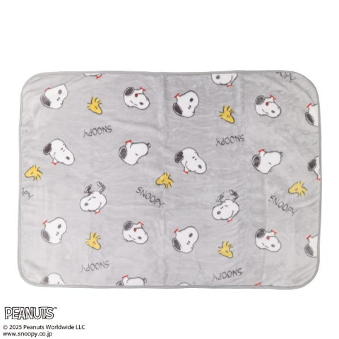 毛布（ハーフサイズ・PEANUTS）
