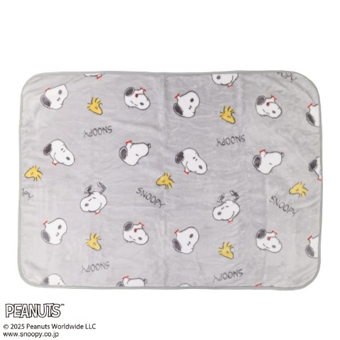 毛布（ハーフサイズ・PEANUTS）