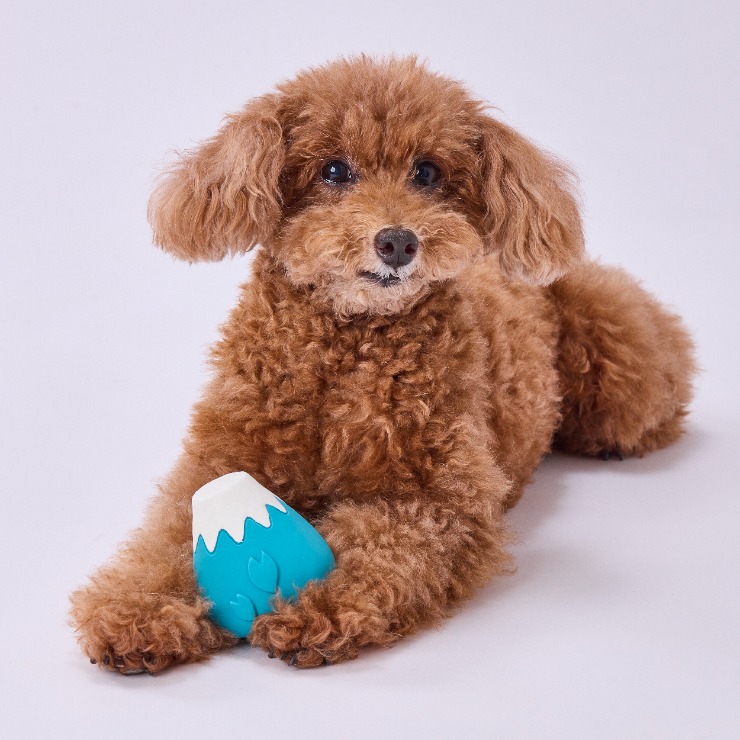 犬雅 富士山ラテックス青富士(Petio) | シャンブル | しまむらパーク