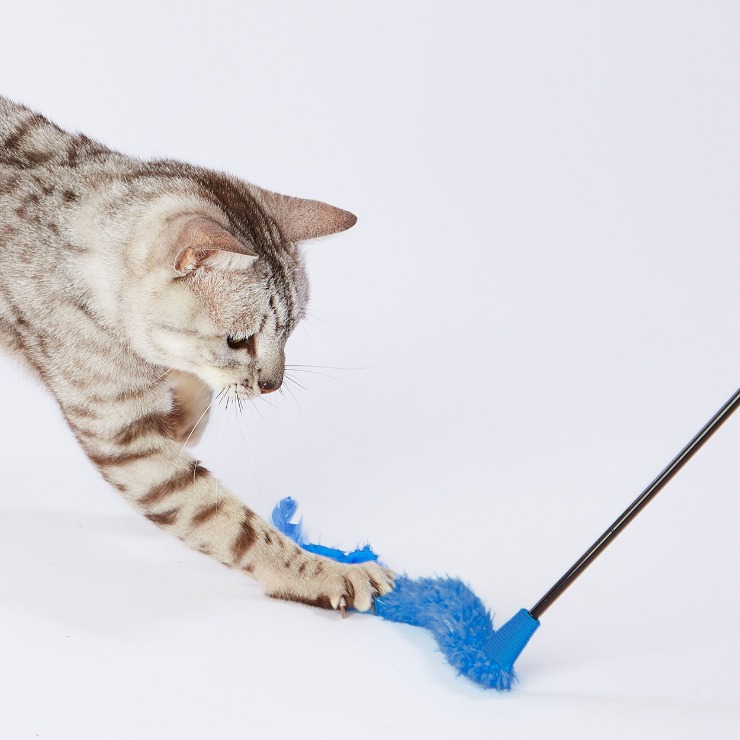 じゃれねこ『2月☆27 winter×ブルー系』 じゃれねこ『2月☆27 winter×ブルー系』 じゃれねこ『2月☆27 winter