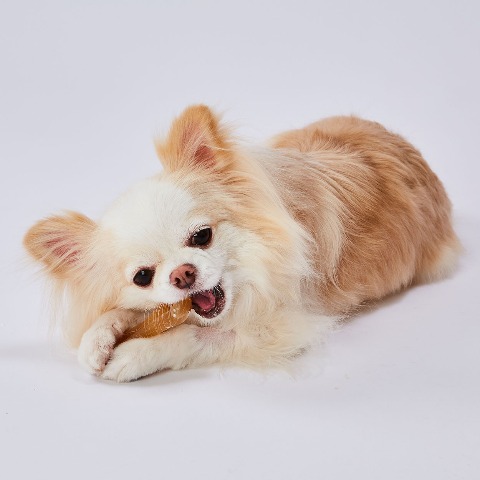 かんでるＣＯＲＮチキン風味ＳＳ超小型犬用(Petio)