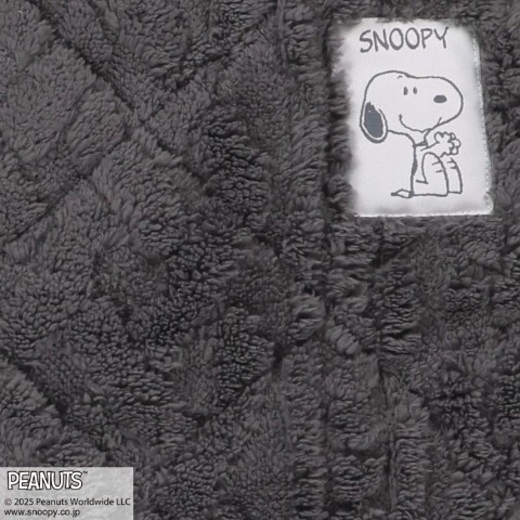 枕パッド（43×63・PEANUTS）