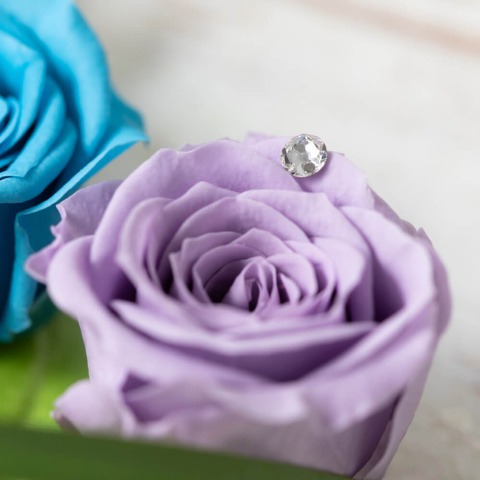 プリザーブドフラワー　レインボースマイル