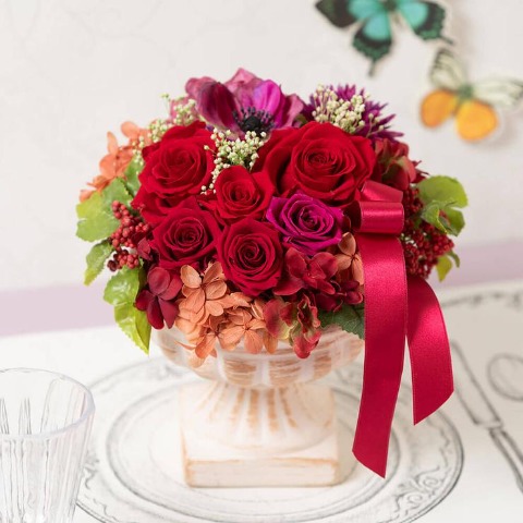 5]の検索結果 | しまむらパーク