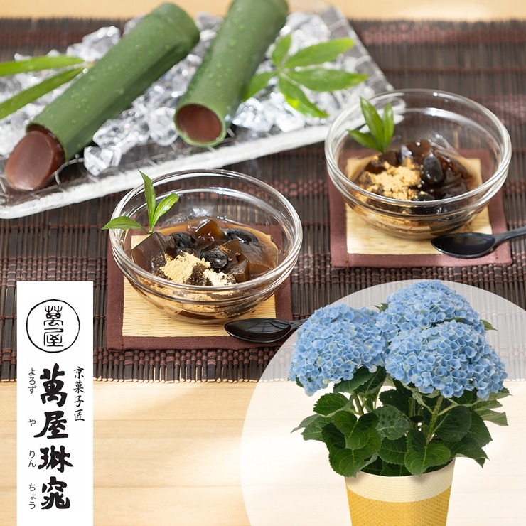 鉢植えセット 黒豆入り黒蜜わらび餅＆京の竹筒水ようかん | シャンブル