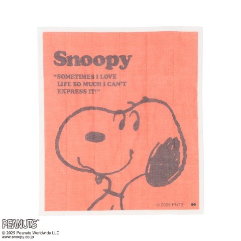 ディッシュクロス(PEANUTS)