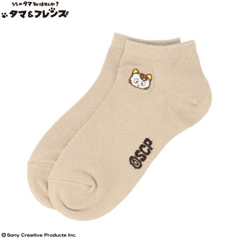 レディース　スニーカーインソックス(タマ＆フレンズ)