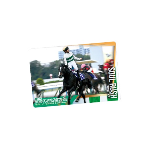 サラブレッドホースコレクション　ツインウエハース　第3R（1BOX20個入り）