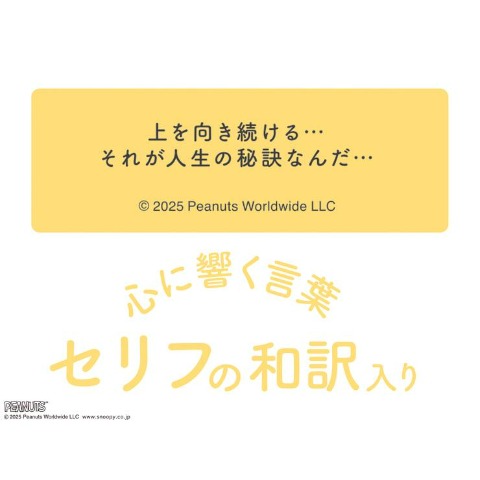 日めくり&ｽｹｼﾞｭｰﾙ/PEANUTS