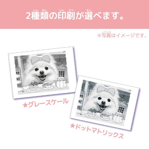 PRINT CAMERA プリカ マカロンピンク