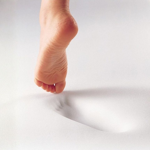 レディース　ルームシューズ （ふんわりパイルの低反発5本指スリッパ　ブラウン）